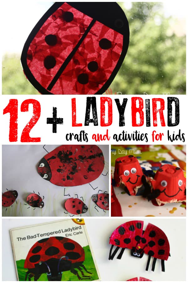 Ladybird12